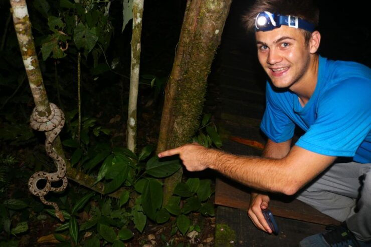 Jungle Night Walk/ Nocturnal Wildlife and Jungle Sounds - Wildlife Encounter