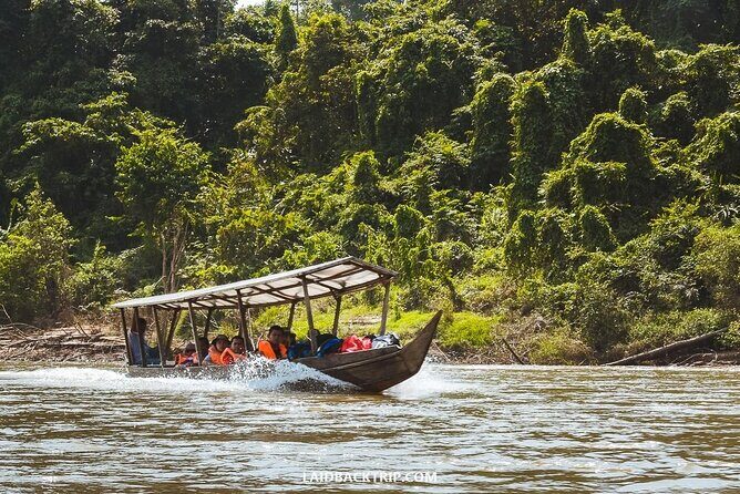 Jungle Odyssey: Unleash Your Adventure in Taman Negara! - Transportation and Group Size