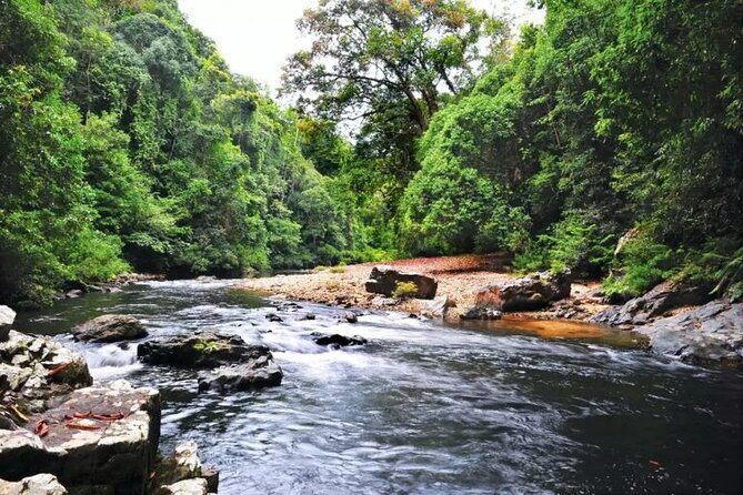 Jungle Odyssey: Unleash Your Adventure in Taman Negara! - FAQ