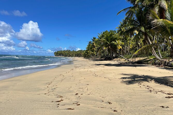 Jungle Rally Quad Exploring the Dominican Countryside - Common Questions