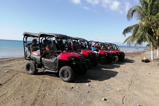 Jungle & River BUGGY Exploration. Private Tour From San Jose - Pickup and Starting Time