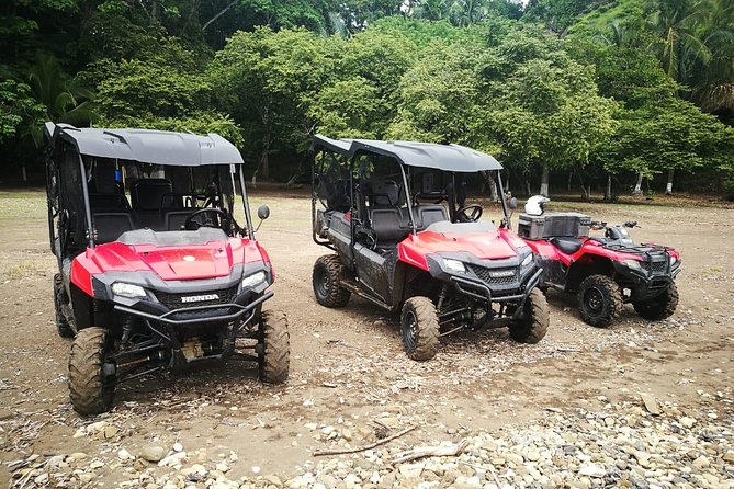 Jungle & River BUGGY Exploration. Private Tour From San Jose - Customer Reviews