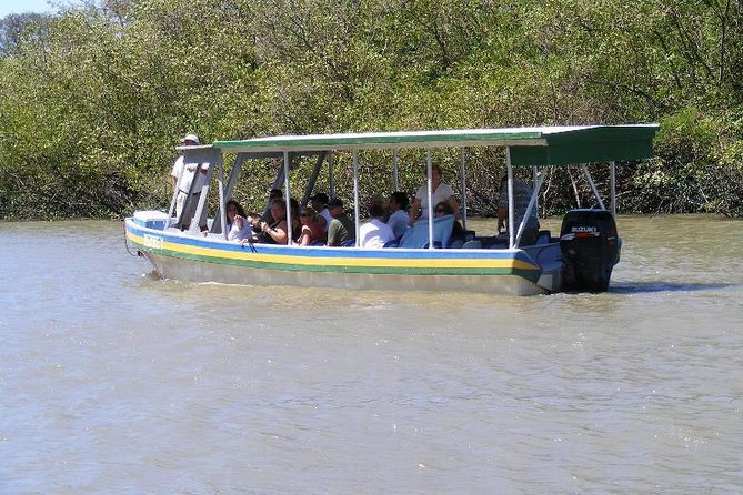 Jungle River Cruise and Coffee Tour - Itinerary Breakdown