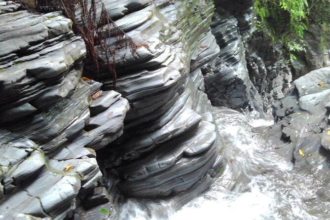 Jungle River Trek in Yambaru; Private & Customisable Booking - Common Questions