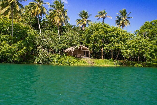Jungle Safari Excursion - Wildlife Encounters