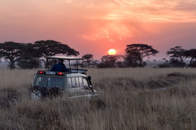 Jungle Safari - Rajaji National Park Half Day Tour - Tour Details and Meeting Point
