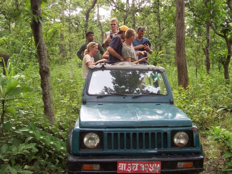 Jungle Safari - Booking and Cancellation Options