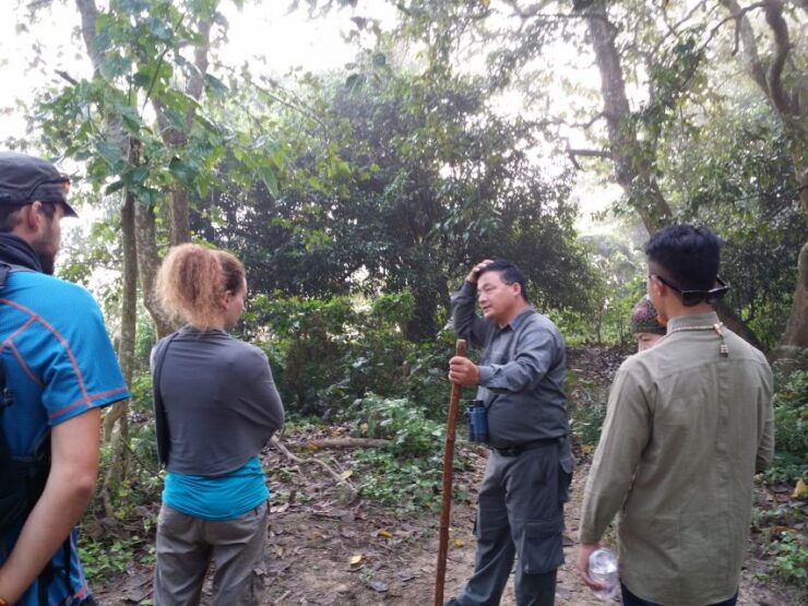 Jungle Safari - Activity Details and Duration
