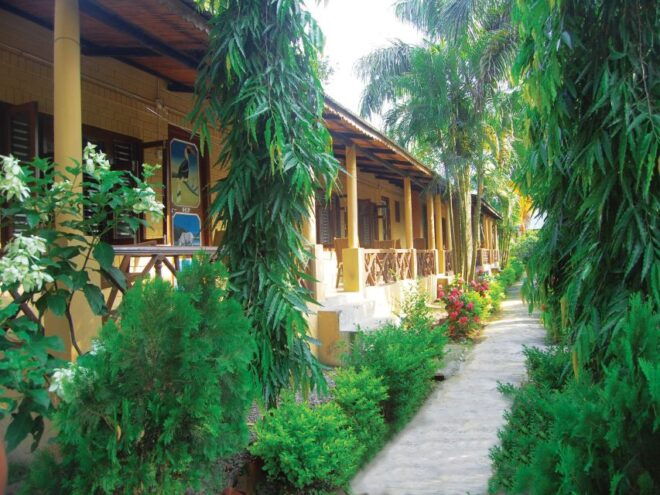 Jungle Safari - Directions and Tips for the Jungle Safari