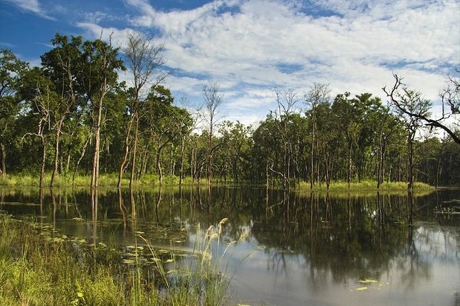 Jungle Safari Tour in Chitwan National Park - Cancellation Policy