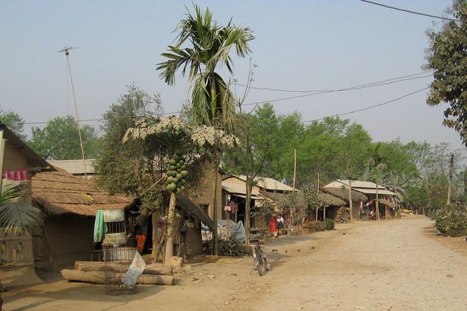 Jungle Safari Tour in Chitwan National Park - Assistance and Contact Information