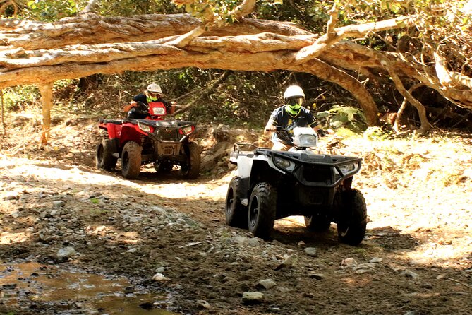 Jungle Single ATV Tour "El Mirador" - Safety Guidelines and Precautions
