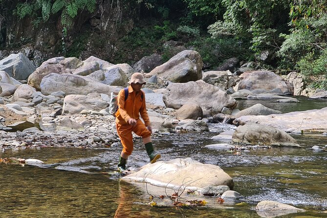 Jungle Survival Tour - Return to Nature - Depart From Hue, Da Nang - Itinerary Overview