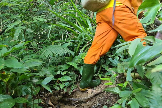 Jungle Survival Tour - Return to Nature - Depart From Hue, Da Nang - Safety Precautions