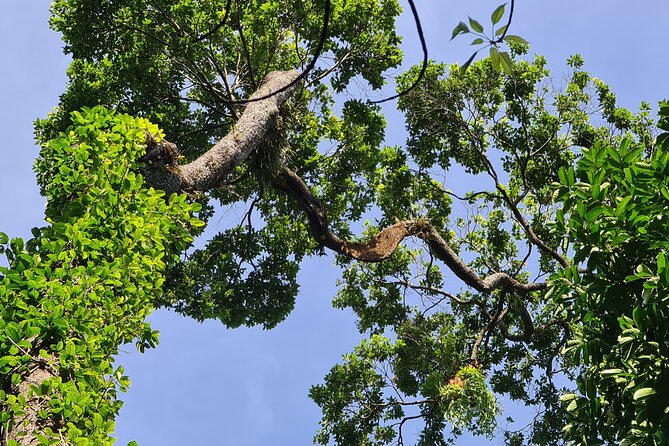 Jungle Survival Tour - Return to Nature - Depart From Hue, Da Nang - Testimonials From Previous Participants