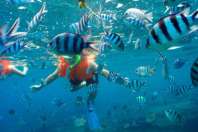 Jungle Tour Adventure in Cancun With Snorkeling - Discover the Hidden Gems of Cancuns Jungle