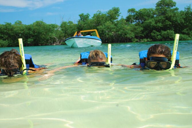 Jungle Tour Adventure in Cancun With Snorkeling - Get up Close and Personal With Exotic Wildlife