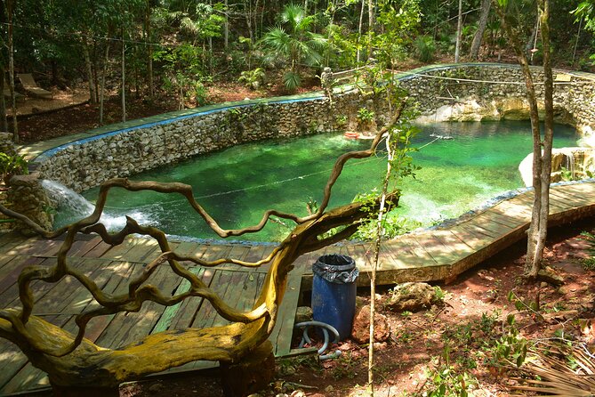 Jungle Tour: ATV Tour, Zip Lines, Cenote and Roundtrip Transportation - The Sum Up