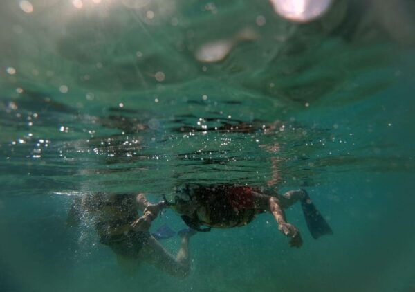 Jungle Tour: Drive a Speedboat and Snorkel in Cancun - Snorkeling Experience