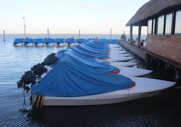 Jungle Tour: Drive a Speedboat and Snorkel in Cancun - Supplementary Services