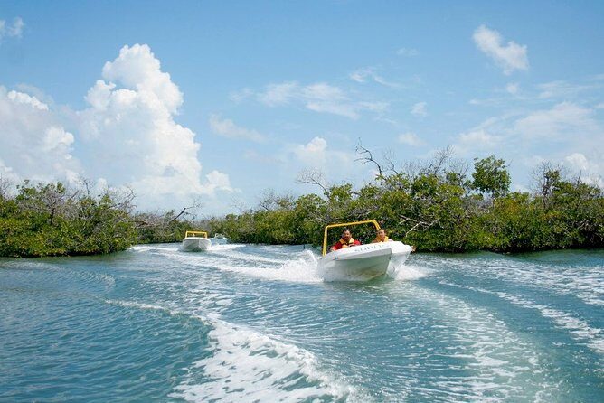 Jungle Tour - Mangroves & Snorkel For Couples - Starting Point and Transportation