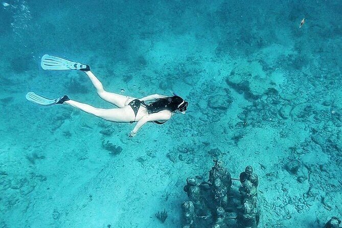 Jungle Tour - Mangroves & Snorkel For Couples - What to Wear & Bring