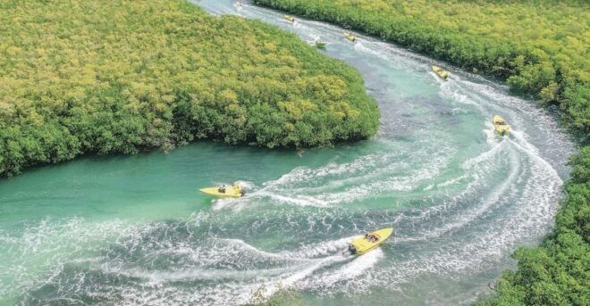 Jungle Tour - Pricing and Inclusions