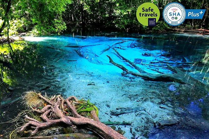 Jungle Tour to Emerald Pool, Krabi Hot Spring and Tiger Cave Temple - Pickup and Meeting Details