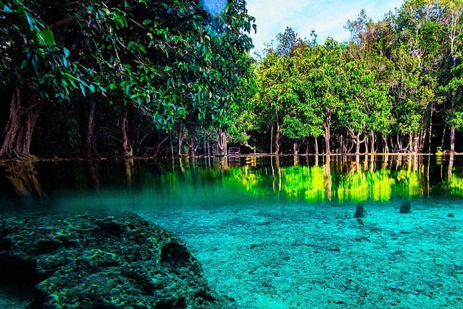 Jungle Tour to Emerald Pool, Krabi Hot Spring and Tiger Cave Temple - Tour Highlights and Inclusions