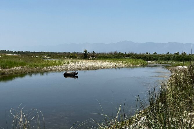 Jungle Tower Night Stay in Chitwan National Park 2 Nights 3 Days - Common Questions