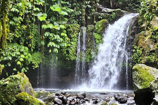Jungle Trekking at Mt. Batukaru, scenic Waterfall & village life - Good To Know