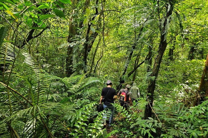 Jungle Trekking at Mt. Batukaru, scenic Waterfall & village life - What Sets This Tour Apart