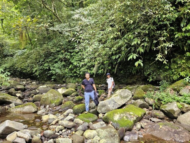 Jungle Trekking at Mt. Batukaru, Scenic Waterfall & Village - Activity Details
