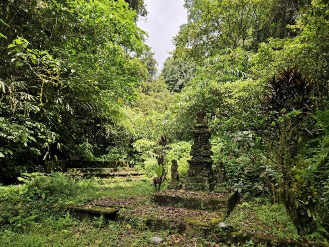 Jungle Trekking at Mt. Batukaru, Scenic Waterfall & Village - Reservations and Payment