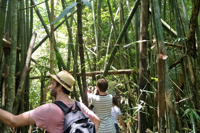 Jungle Trekking - Benefits of Jungle Trekking