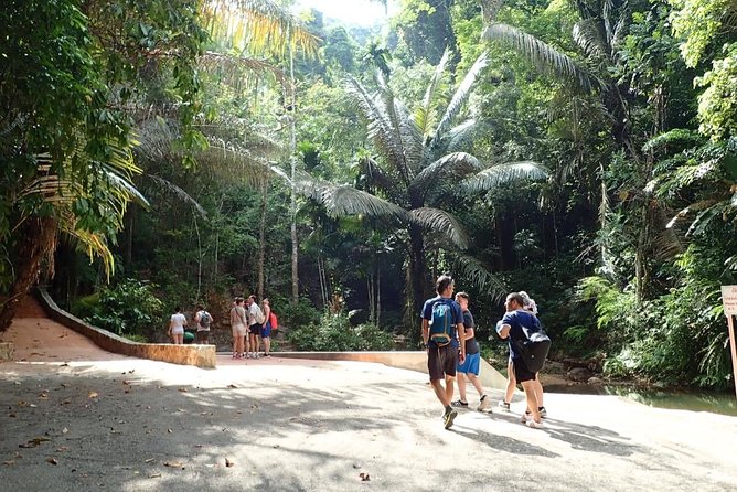 Jungle Trekking - Common Questions