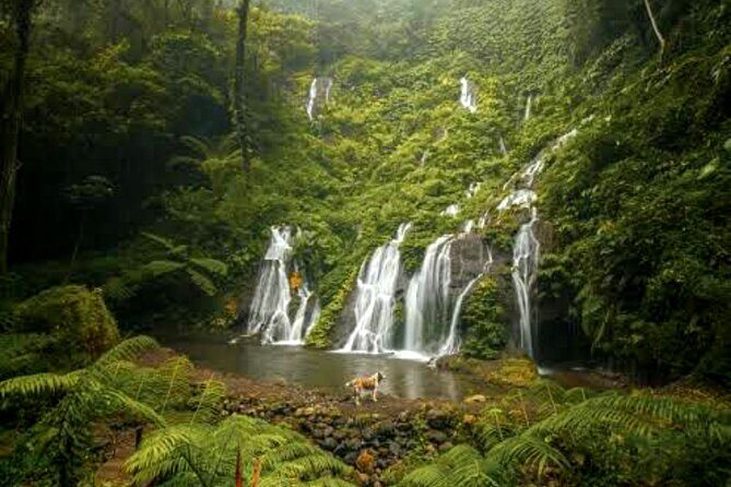 Jungle Trekking Day Tour - Detailed Breakdown of the Itinerary