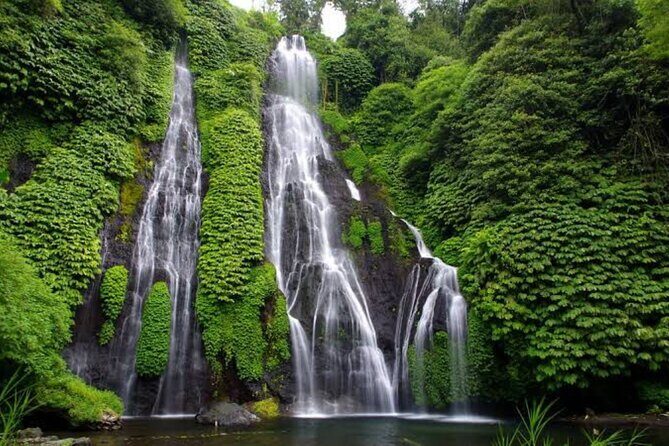 Jungle Trekking Day Tour - Who Will Love This Tour?