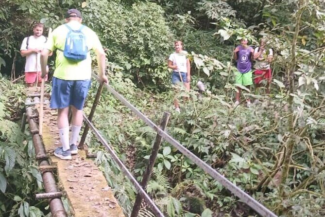 Jungle Trekking Day Tour - The Sum Up: Is the Jungle Trekking Day Tour Worth It?