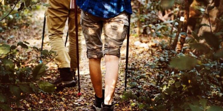 Jungle Trekking in Yala Buffer Zone From Hambantota Harbor - Trek Experience in the Jungle