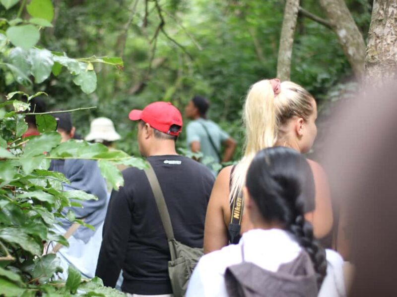 Jungle Trekking West Bali National Park - Jungle Trekking West Bali National Park: An Authentic Nature Escape