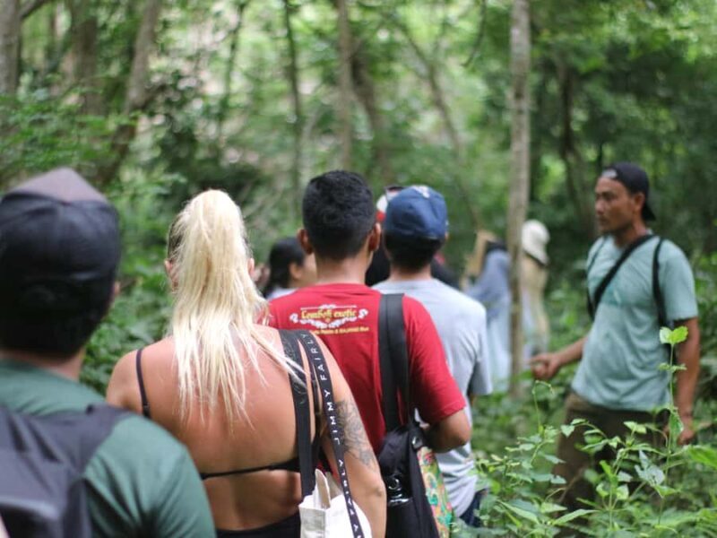 Jungle Trekking West Bali National Park - Good To Know