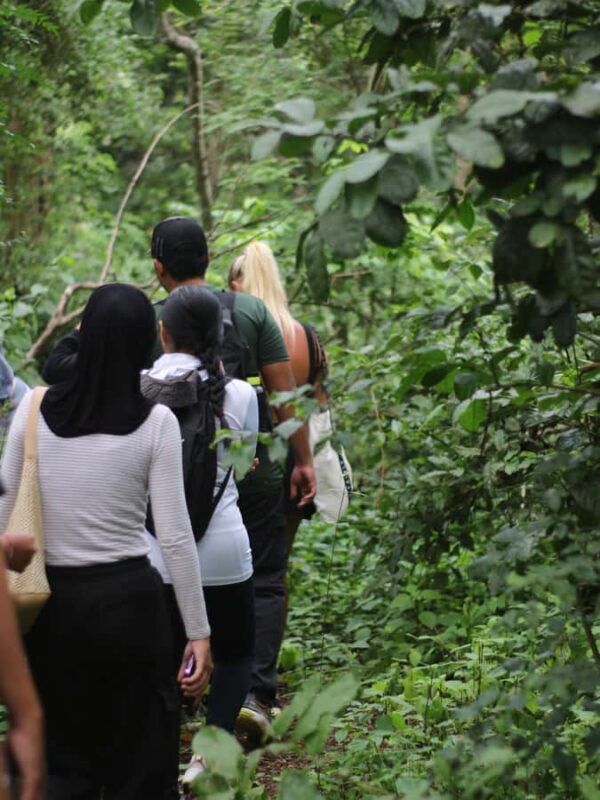 Jungle Trekking West Bali National Park - Final Thoughts: Is It Worth It?