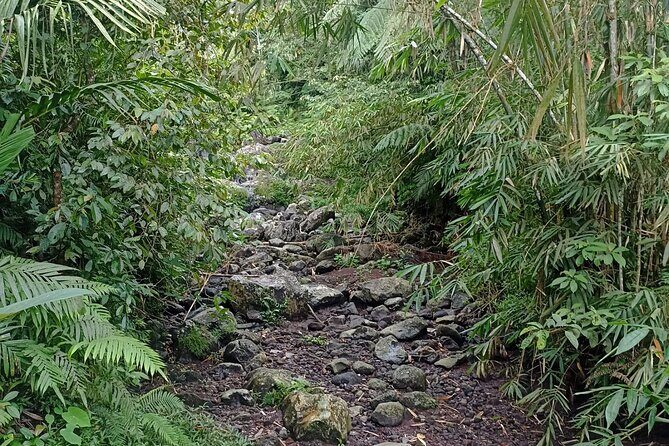 Jungle Trekking With Jatiluwih Unesco Heritage Site in Tabanan - FAQ