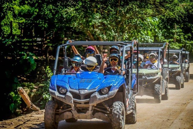 Jungle Viking/RZR Tour For 2 passangers in Eden & Coast Adventure - Good To Know