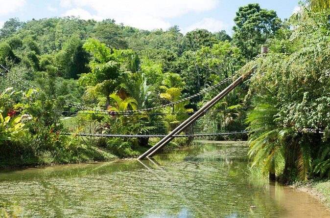 Jungle Zipline and River Tubing Private Tour - FAQ
