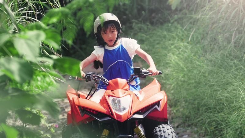JUNGLIA Ticket in Okinawa - Dinosaur Safari and the other prehistoric stops