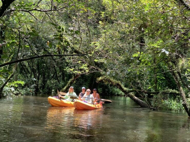 Jupiter: Loxahatchee River Scenic Kayak Tour - Tour Overview
