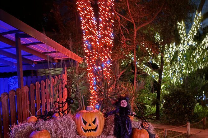 Jurassic Haunt at Dinosaur World - What is Jurassic Haunt at Dinosaur World?