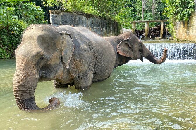 Jurassic World Huay To Waterfall and Jungle Tour from Krabi - Who Will Love This Tour?